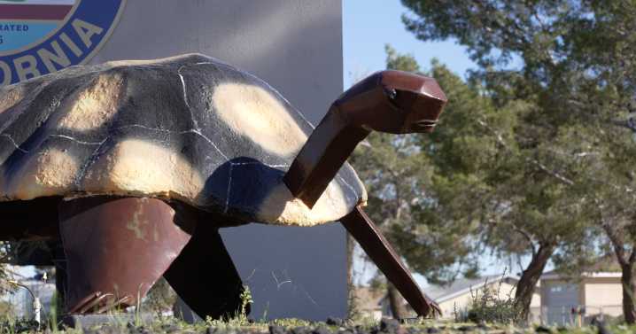 California City seeks 9th city manager in 3 years as potential fire service changes loom