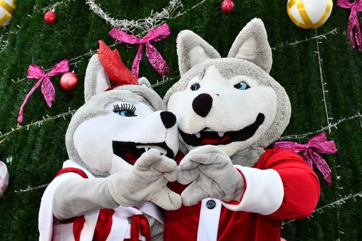 Enciende la Rectora Lilia Cedillo el Árbol de Navidad en el área de la Salud