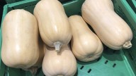 Éste es el verdadero origen de la calabaza que venden en Mercadona