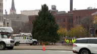 Louisville's 31-foot Christmas tree is headed downtown for the holidays