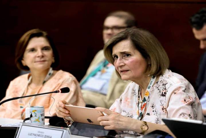 Presidenta del TC expuso en 30 Conferencia de las Naciones Unidas sobre cambio climático
