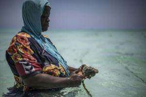 Zanzibar women turn to sponge farming as oceans heat up