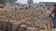 Time to sort out India’s cereal mess