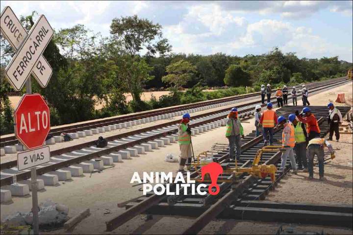Tren Maya de carga bajará el precio de la gasolina en el sureste: Sheinbaum