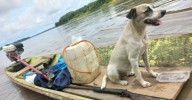Hallan embarcación de hombre desaparecido en el río Ucayali: Solo su perrita fue encontrada con vida