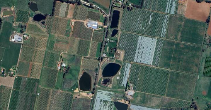 Not just luck: the specific strategy saving apple growers from a statewide shortage