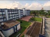 Odisha signs pact with CIFA for conservation of Mahanadi Mahaseer fish