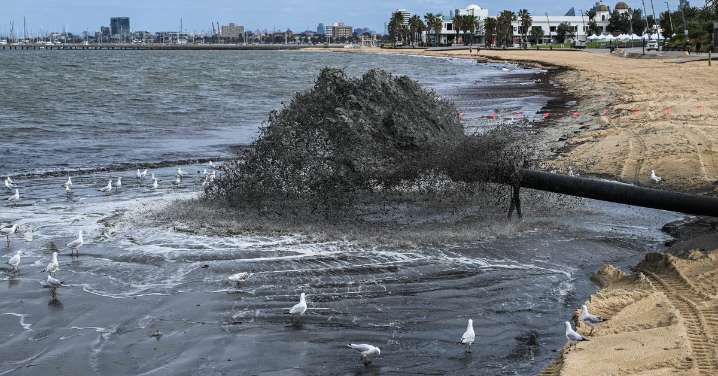 Authorities issue warning after St Kilda beach water is turned into black sludge