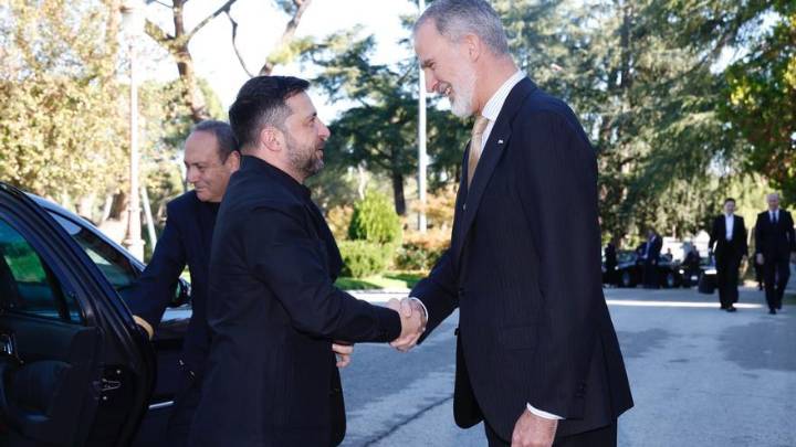 Felipe VI se reúne con el presidente de Ucrania, Volodímir Zelenski