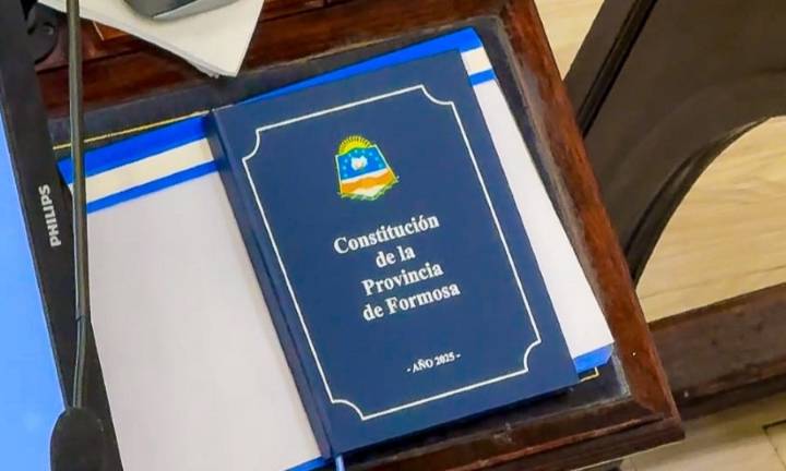 Exprocurador y juez de la Corte consideró que la cláusula transitoria de la nueva Constitución Provincial “es constitucional”