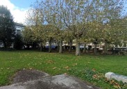 Las obras de apertura del jardín de Erkibe comenzarán a principios de diciembre