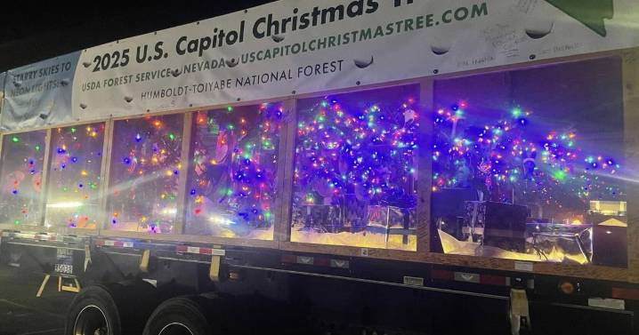 Silver Belle, the Capitol Christmas Tree, tours through Illinois and Kentucky