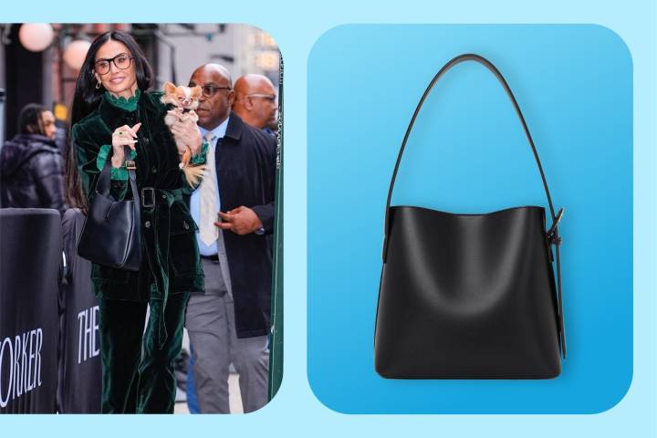Demi Moore’s Bucket Bag Looks Like This $46 Style from Amazon