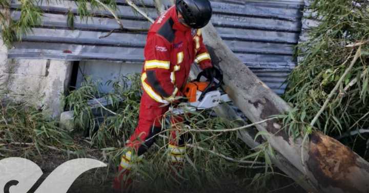 Vientos en Puebla dejan árboles, y espectaculares derribados; ho se reportan heridos