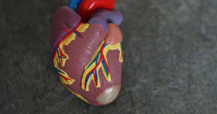 ¿Cómo prevenir los infartos en jóvenes?: la nueva ‘’epidemia’' silenciosa que avanza entre los 30 y 45 años