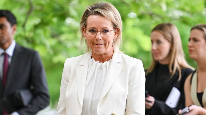 'Are you days numbered': Sussan Ley under Liberal leadership pressure after Senator Sarah Henderson raises serious concerns