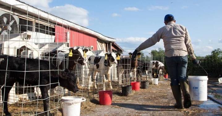 Indiana businesses: ICE raids, immigration enforcement make it harder to find workers