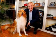 Murió Dylan, el perro de Alberto Fernández: “Ahora correrás en algún paraíso”