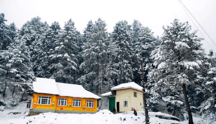 J&K: At Minus 2.8 Degrees Celsius, Srinagar Witnesses Coldest Night Of Season