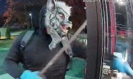 Mugshot Shows Werewolf-Masked Robber Who Climbed Through Woodbury Drive