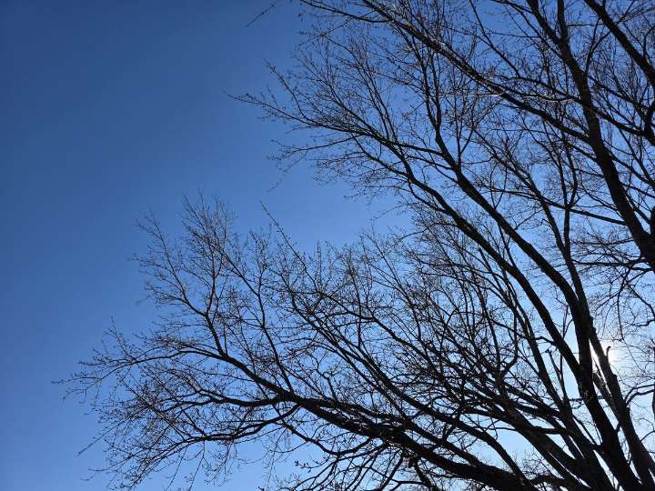 NJ weather: Still windy and cold, light rain/snow chance coming
