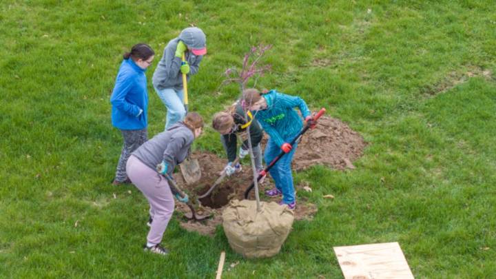 Marshall plans 500 acres of greenspace near BlueOval Battery Park