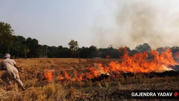 28 farm fire incidents in two days: CAQM pulls up Fatehabad DC over spike in stubble burning cases