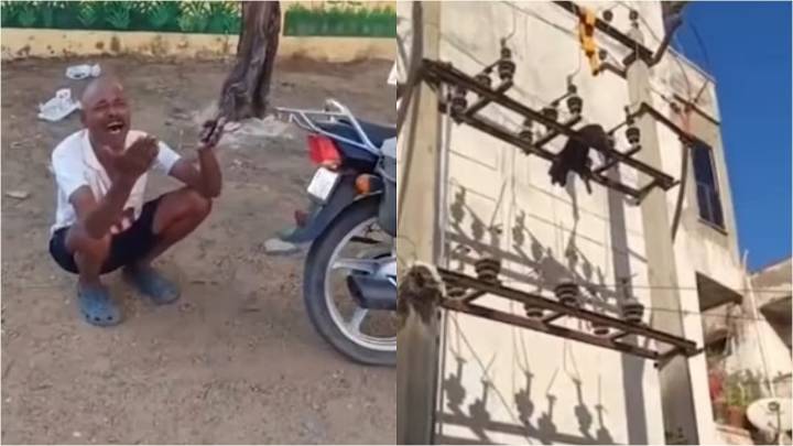 Sonam Bajwa Heartbroken After VIDEO Shows Dog Tied And Electrocuted To Death In Jaipur; Caretaker Seen Crying