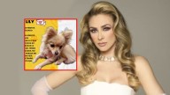 Aracely Arámbula desesperada ante el secuestro de su perrita: “Nos extorsionaron, jugaron con nuestro dolor”