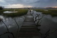 EPA moves to limit scope of clean water law to reduce amount of wetlands it covers