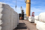 Exportación de fibra de algodón chaqueño desde el Puerto de Barranqueras con destino a Vietnam