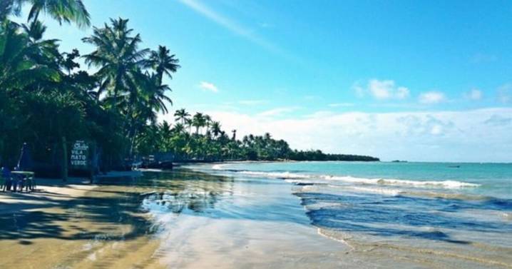 La playa poco conocida de Brasil que enamora a los argentinos: aguas turquesas, palmeras y total tranquilidad