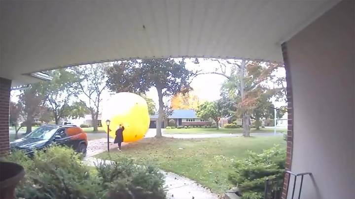 #TheMoment a huge inflatable pumpkin went rogue