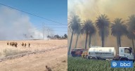 Bomberos combate incendio forestal en Pudahuel: hay al menos 16 hectáreas comprometidas