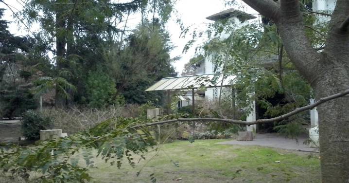 Polémica en escuela de La Plata: Se portaron mal, los aislaron y los pusieron a dibujar mandalas