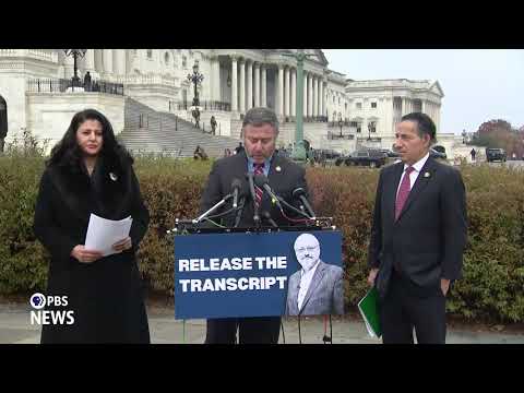 WATCH: Vindman asks Trump to release transcript of ‘concerning’ 2019 call to Saudi crown prince