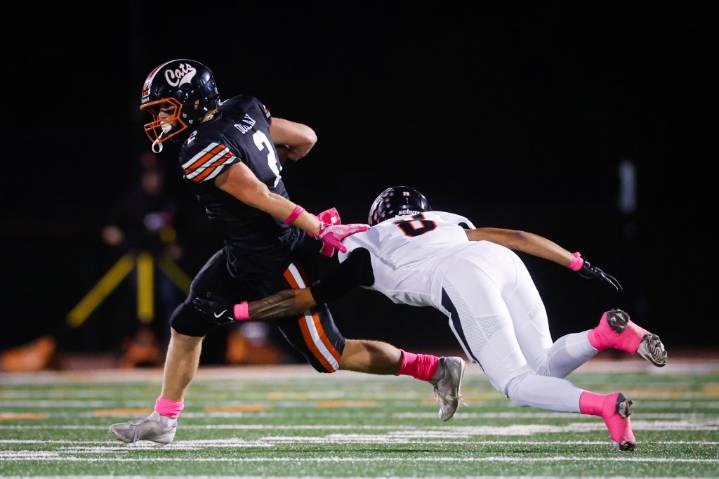 Los Gatos’ offense takes charge as Wildcats rout Palma in CCS semifinal