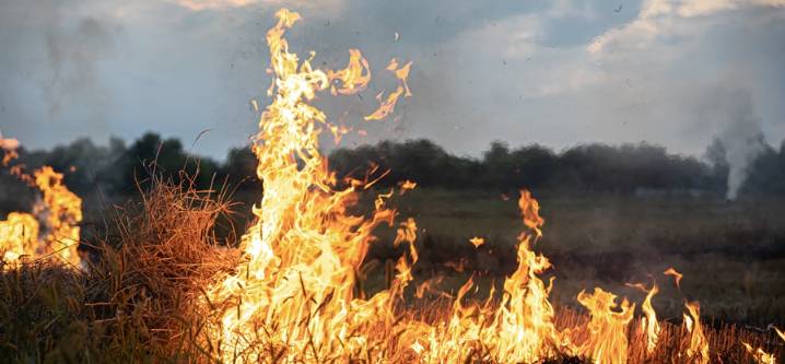 Regresa el Grupo de Trabajo contra Incendios Molestos de Kensington