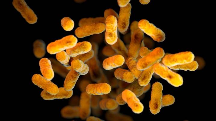 Third Kentucky infant dies of whooping cough