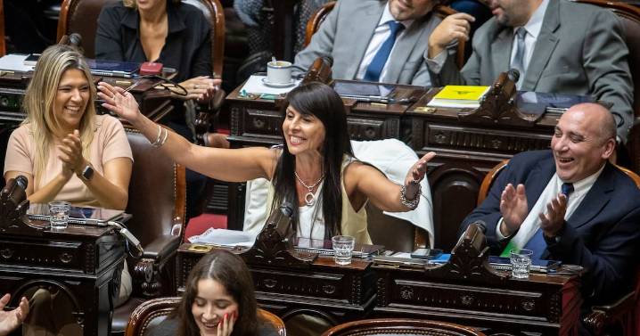 Rechazo en comisión al pliego de la electa senadora Villaverde y definición en suspenso