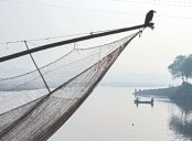 Capital’s ‘severe’ AQI streak ends, back to ‘very poor’