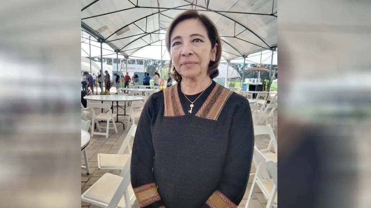 Renuevan Consejo Estatal Agroalimentario de Guanajuato; María de la Paz Reyes Bravo, primera mujer presidenta