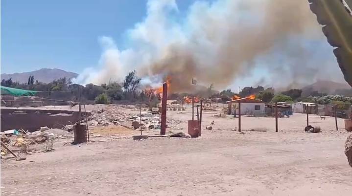 Incendio forestal en Callejón Bruno Pizarro moviliza a Bomberos de Copiapó