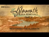 A year after Klamath dam removals, salmon return, but sediment fears divide locals