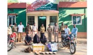 Forest Department Seizes 85 Tortoises in Malkangiri, 3 Held