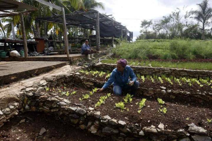Concluye en Cuba IX Encuentro Internacional de Agroecología