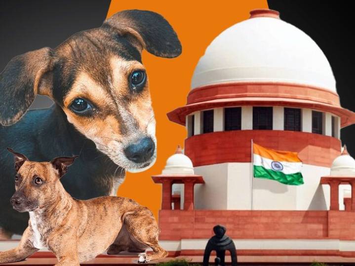 BREAKING NEWS:SC orders removal of stray dogs from premises of schools, hospitals, bus stands and highways
