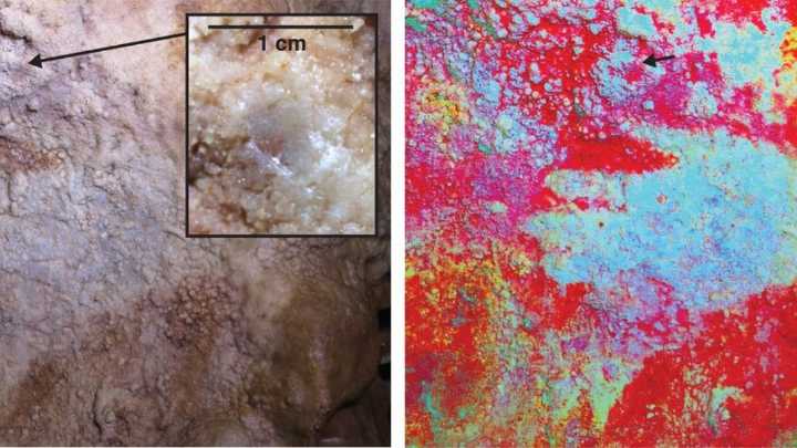 The World's Oldest Known Cave Art Wasn't Made by Our Species