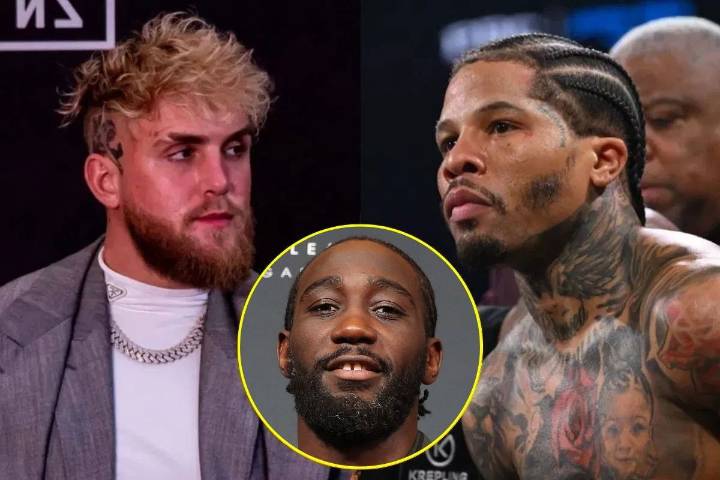 Is Jake Paul vs. Gervonta Davis Canceled? All About Terence Crawford, Francis Ngannou, and Other Potential Replacement What happened to the Jake Paul vs. Gervonta Davis fight? Learn who will replace D