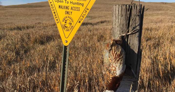 NDPF PATH Program Gets $1M from OHF